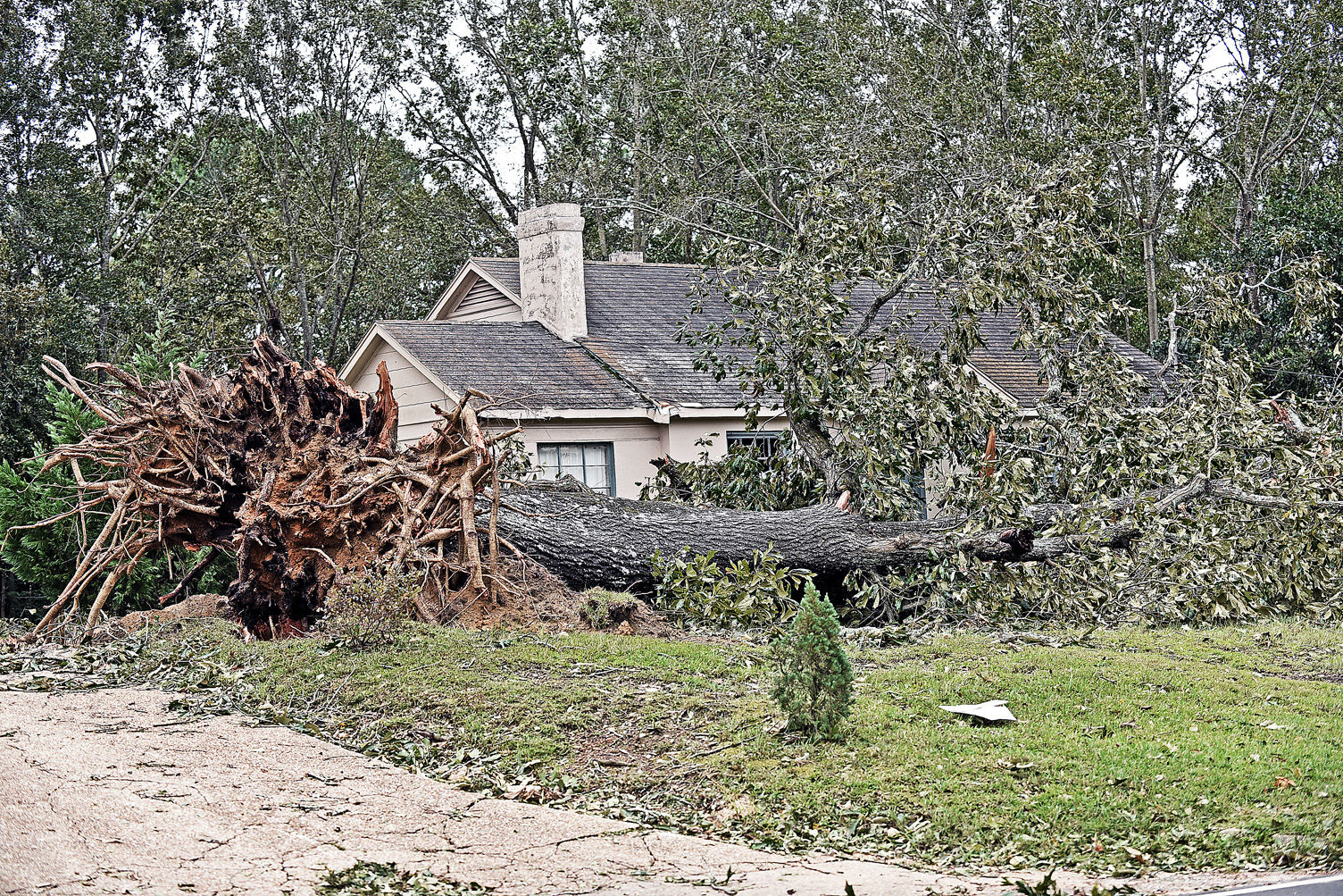 Hurricane Michael aftermath